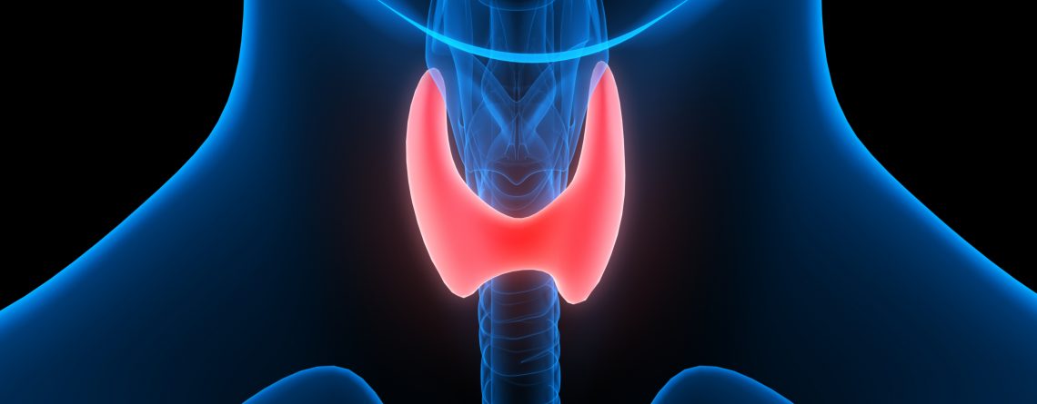 Articol 8 sfaturi pentru persoanele diagnosticate cu tiroidita Hashimoto - Tehnologie pentru viață